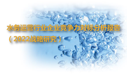 水務(wù)運(yùn)營戰(zhàn)略研究_企業(yè)競爭力對標(biāo)